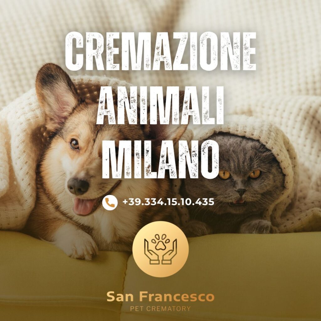 cremazione animali milano