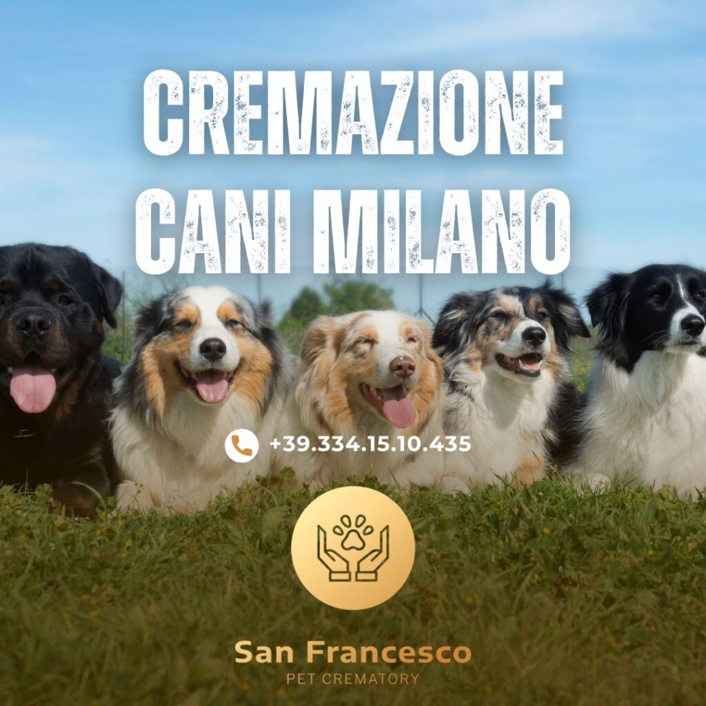 cremazione cani milano