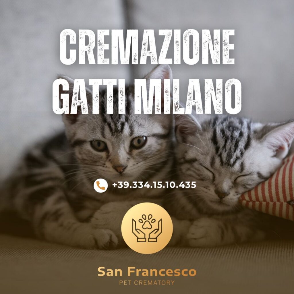 cremazione gatti milano